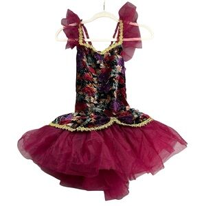 Wolff Fording Floral Velvet Gold Trim Mesh Tutu Ballet Dance Costume Dress XS
